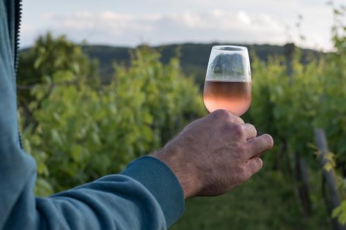 Olasz borok: a Super Tuscan borok